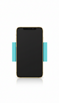 OLED LCD display module with gold accent